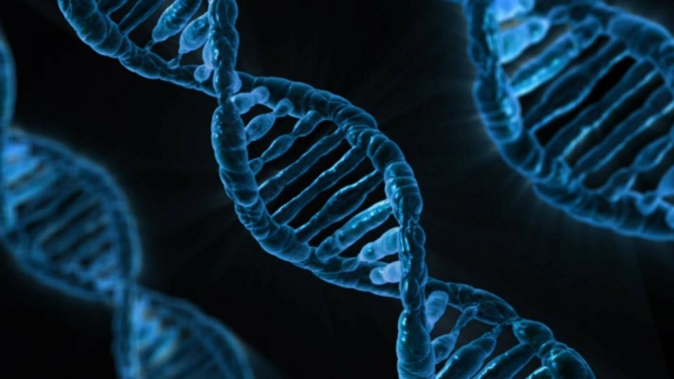 artist rendition of a dna strand