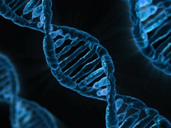 artist rendition of a dna strand