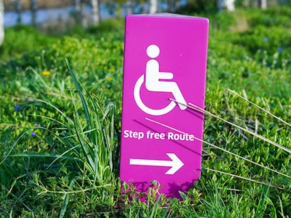 Purple disability placard in grass shows outline of person in wheelchair 