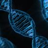 artist rendition of a dna strand